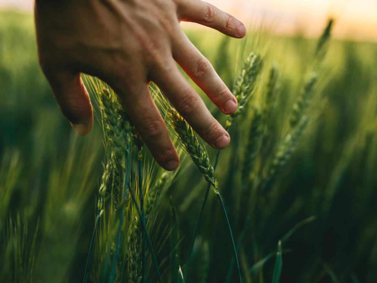Design for Agriculture Industry