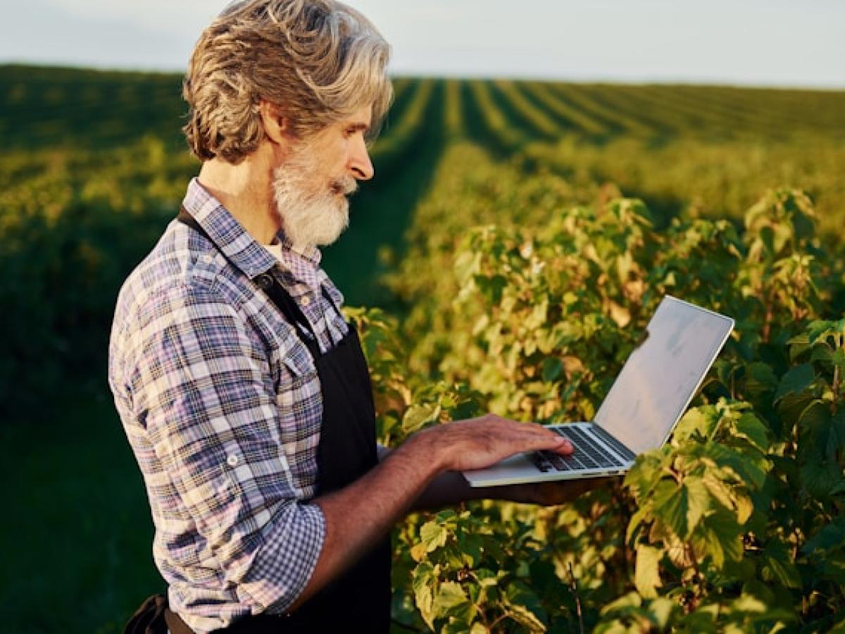 marketing farming