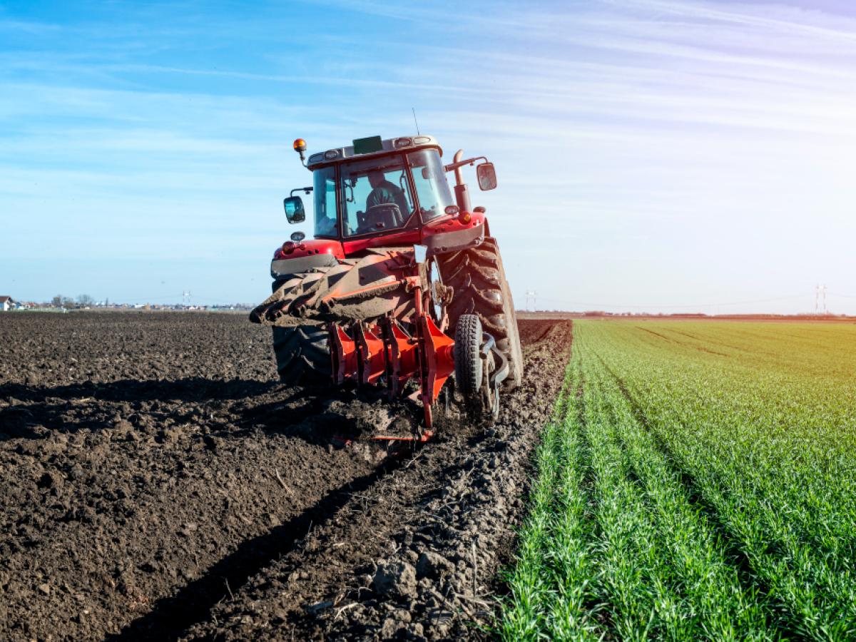 Agriculture Color Palettes