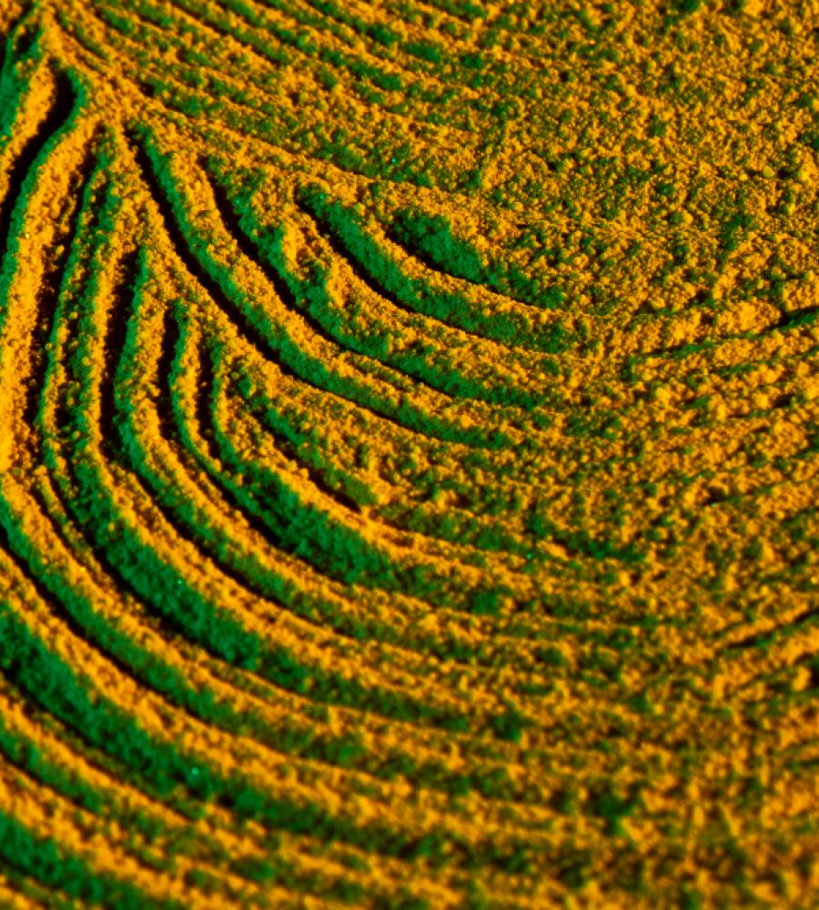 Agriculture Branding & Logo Design Winnipeg