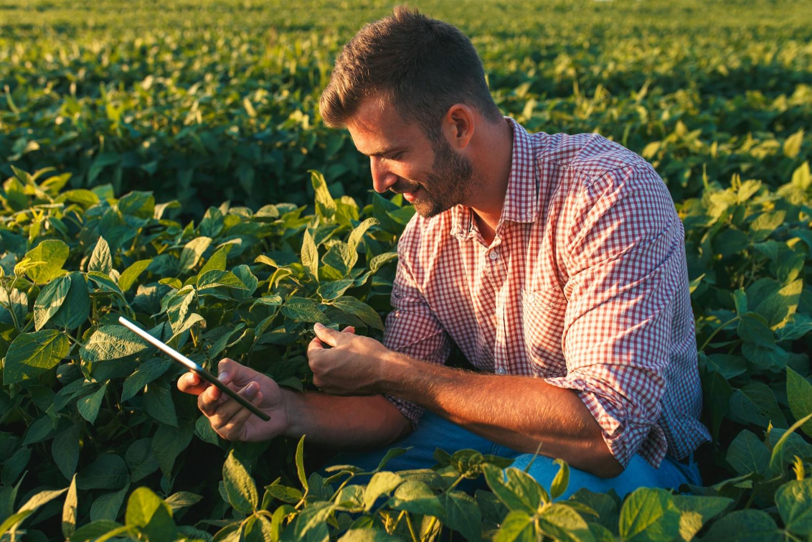 Exploring Agriculture Design & Typography
