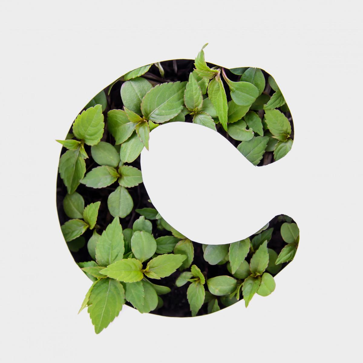 Exploring Agriculture Design & Typography